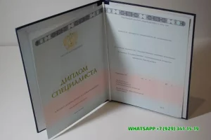 Купить диплом в Магнитогорске Астраханского филиала МЮИ — Международного юридического института